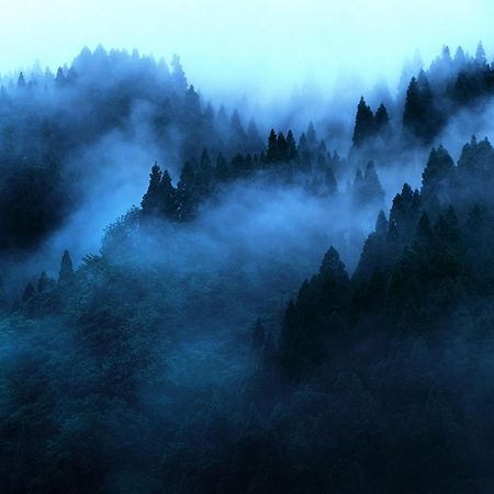 "Mount'N Mist" Apartment Ella Luaran gambar