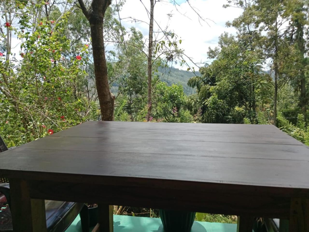 "Mount'N Mist" Apartment Ella Luaran gambar