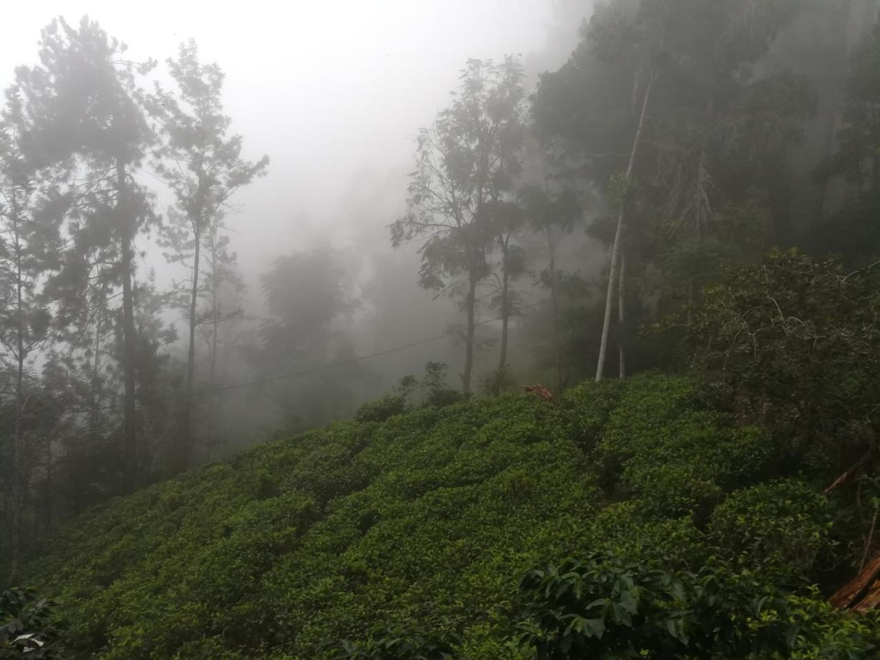 "Mount'N Mist" Apartment Ella Luaran gambar