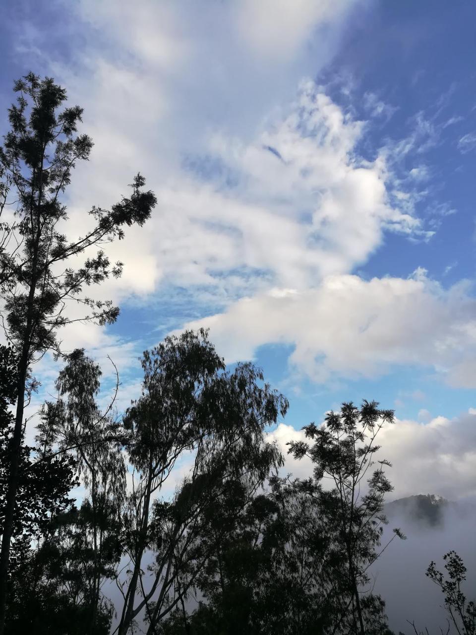 "Mount'N Mist" Apartment Ella Luaran gambar