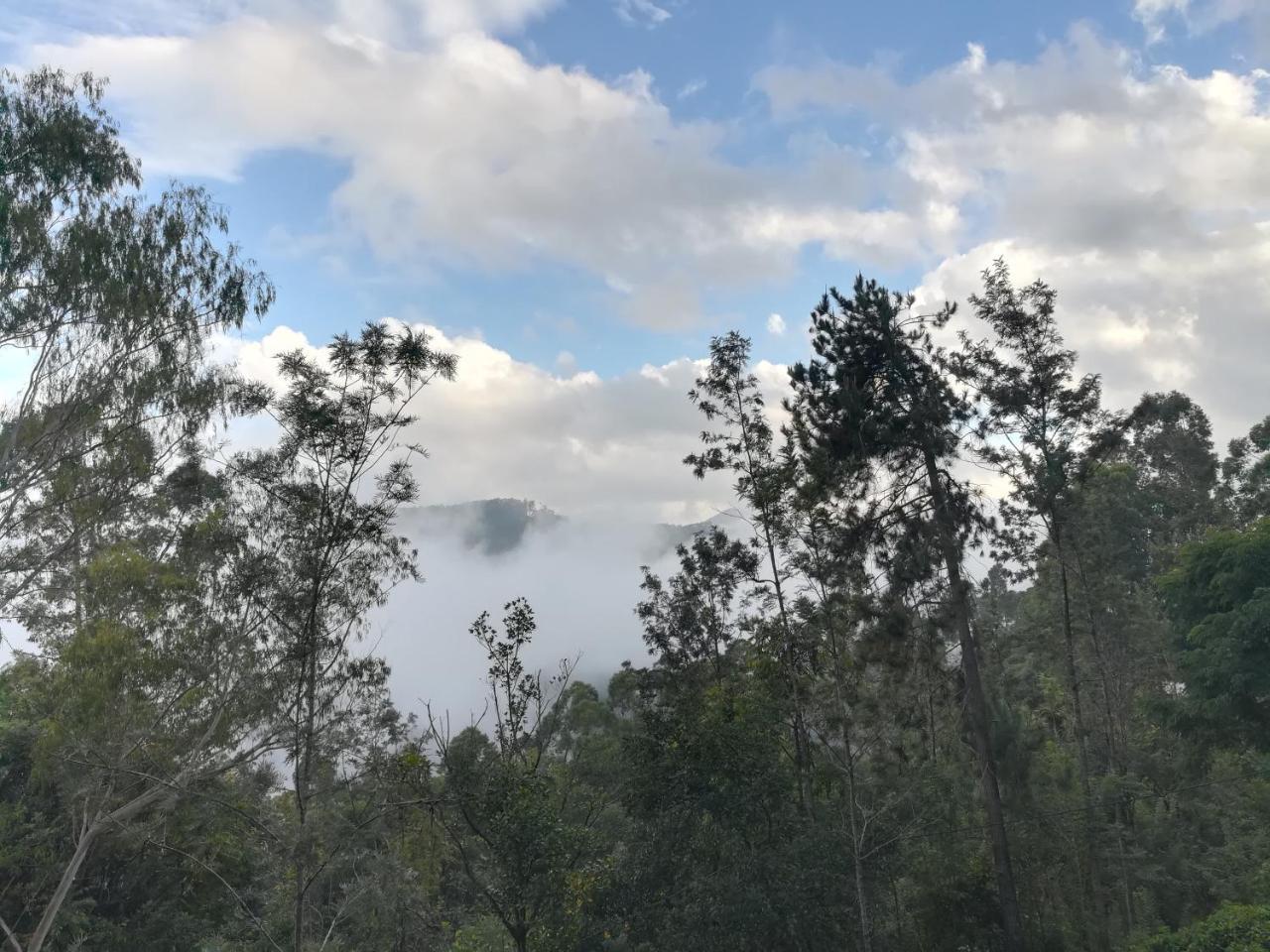 "Mount'N Mist" Apartment Ella Luaran gambar