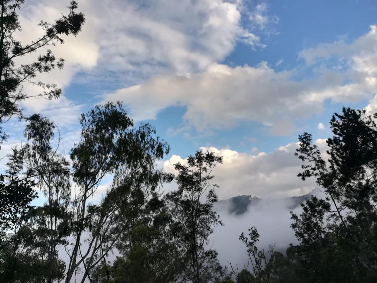 "Mount'N Mist" Apartment Ella Luaran gambar