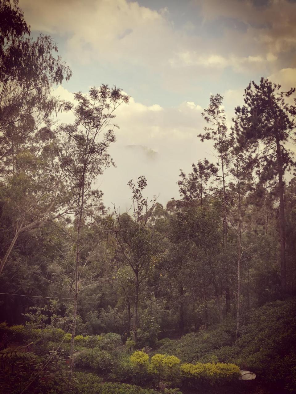 "Mount'N Mist" Apartment Ella Luaran gambar