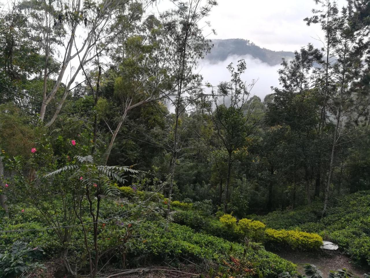 "Mount'N Mist" Apartment Ella Luaran gambar