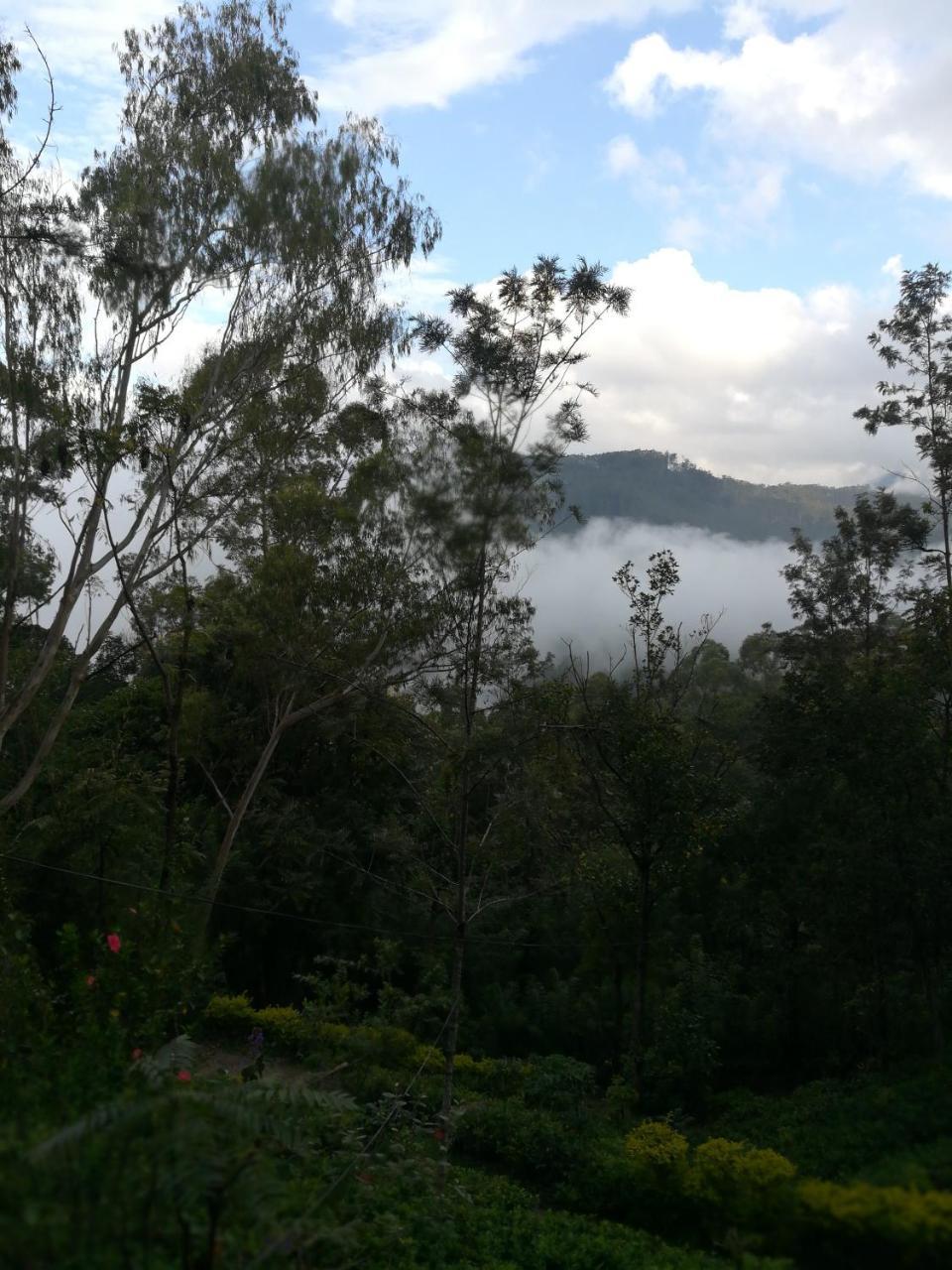 "Mount'N Mist" Apartment Ella Luaran gambar