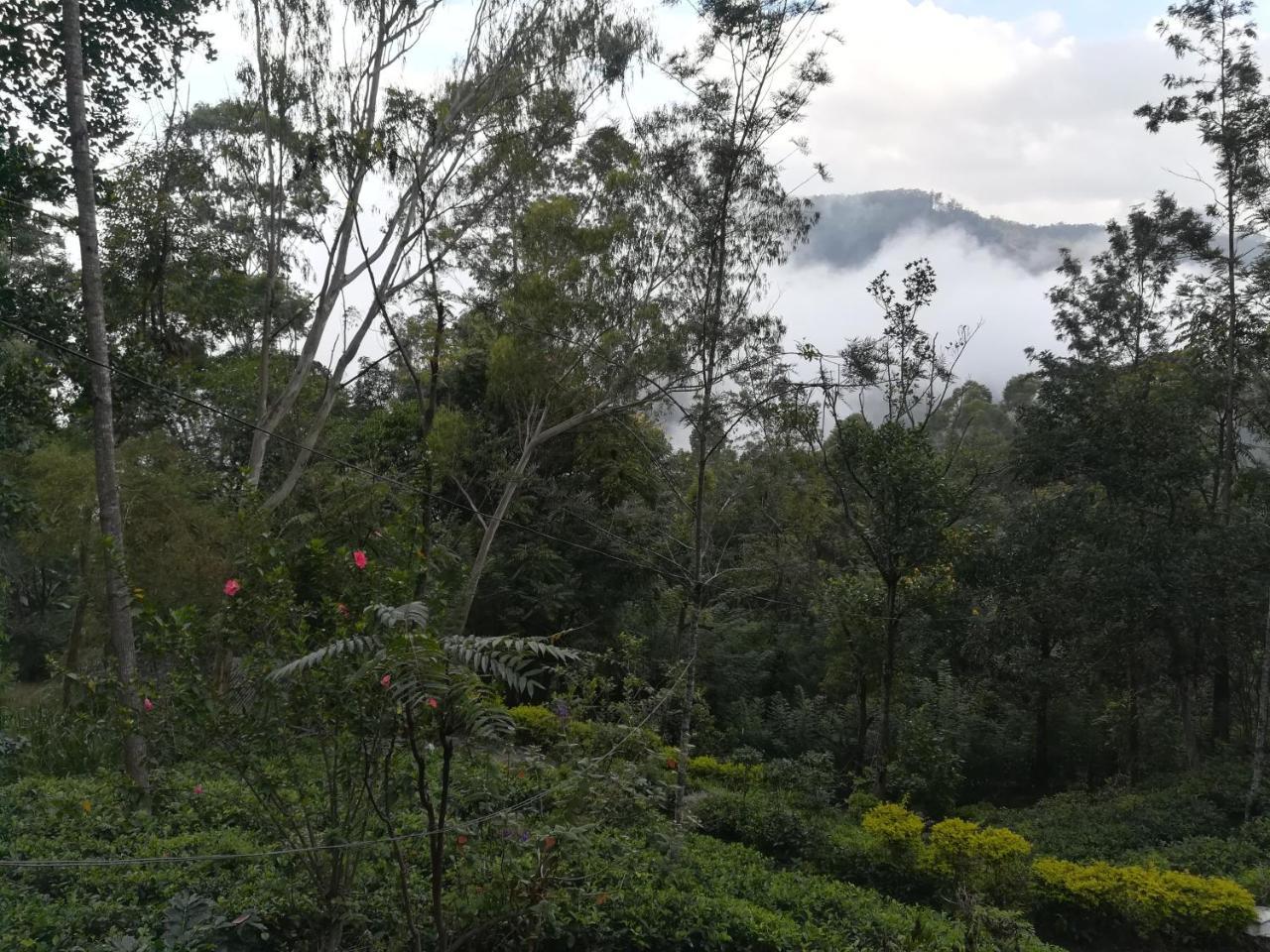 "Mount'N Mist" Apartment Ella Luaran gambar