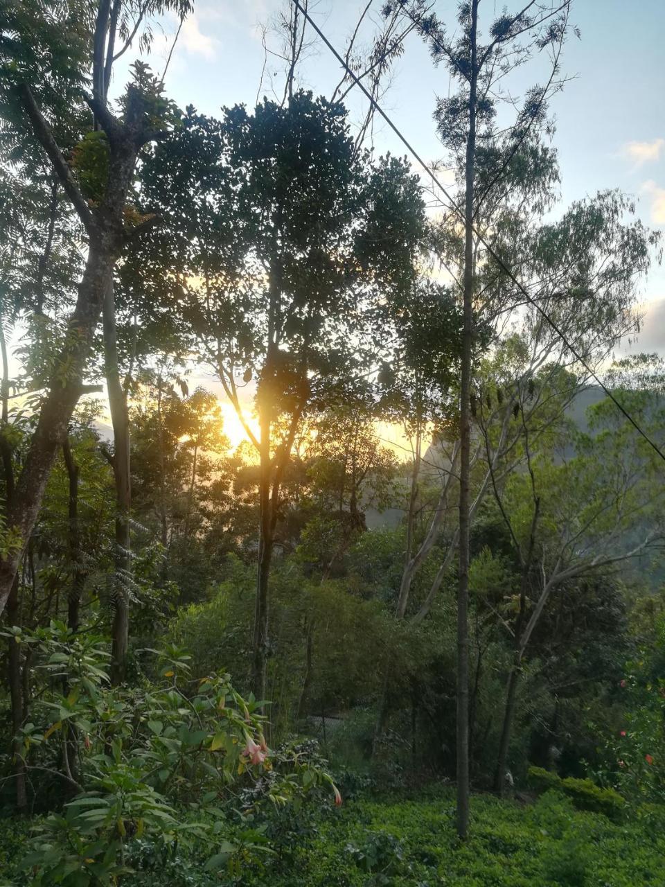 "Mount'N Mist" Apartment Ella Luaran gambar