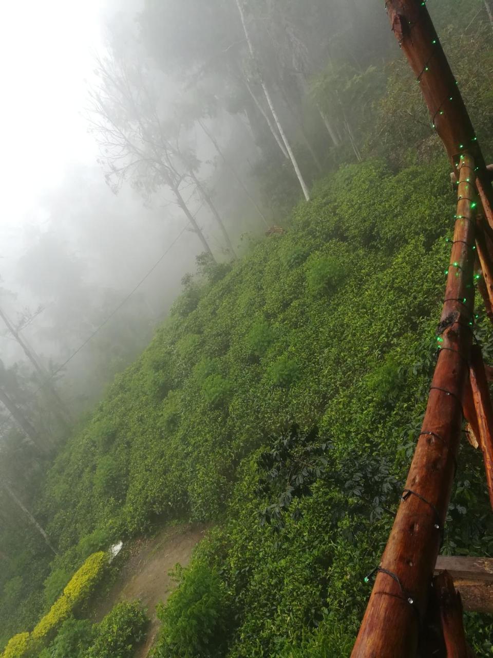 "Mount'N Mist" Apartment Ella Luaran gambar