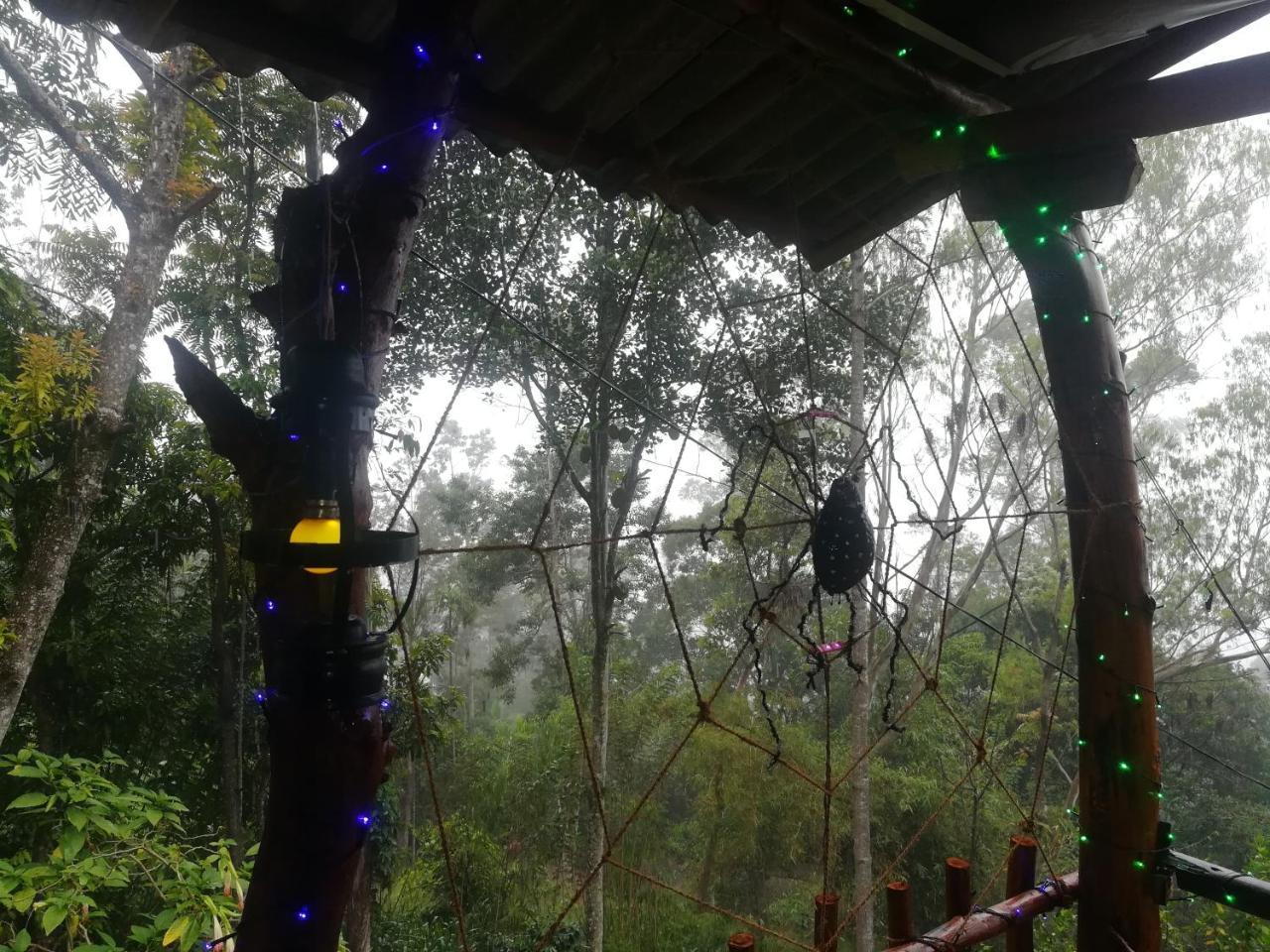 "Mount'N Mist" Apartment Ella Luaran gambar
