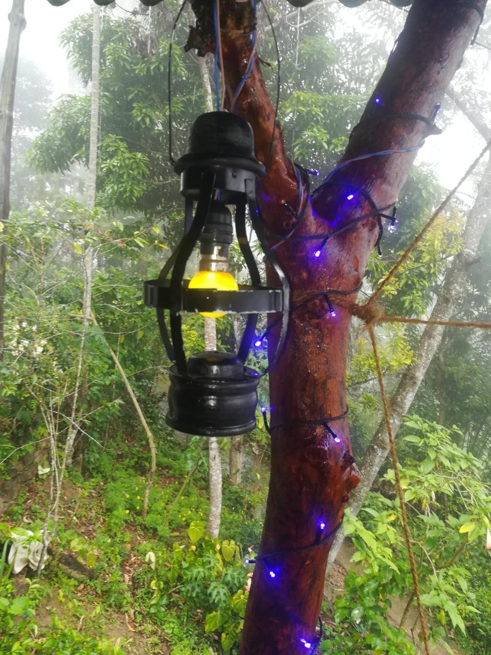 "Mount'N Mist" Apartment Ella Luaran gambar